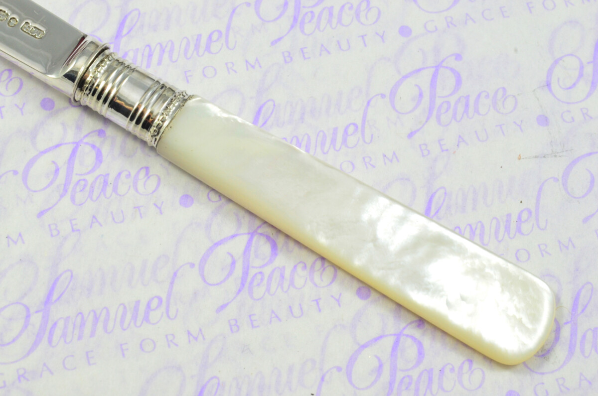 Exceptional Moses Brent Solid Silver Bladed & Mother of Pearl Handled Letter Opener Sheffield 1810 Cased - Image 4