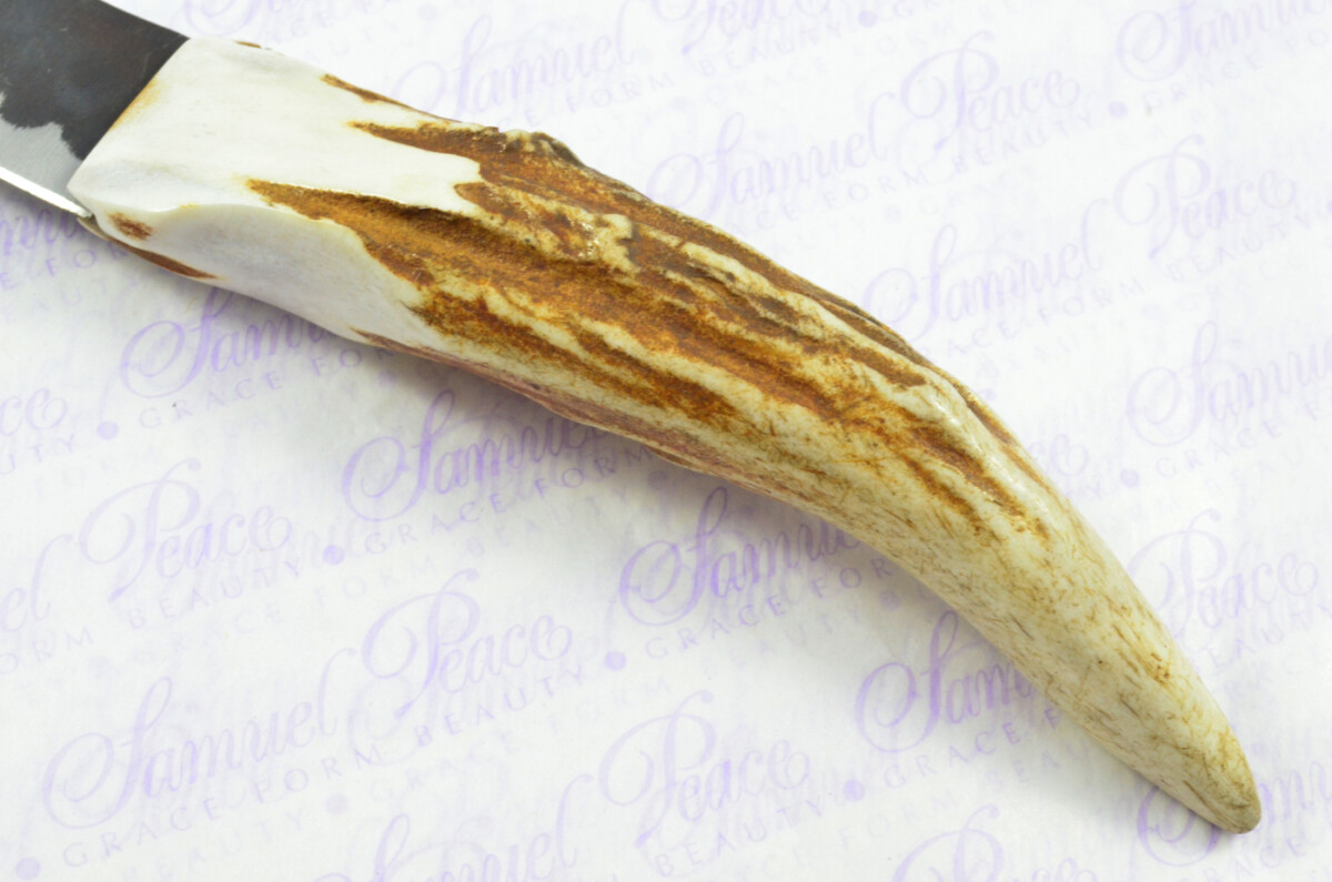 A Genuine Tyne Point Hand Forged Carbon Steel Stag Horn Antler Handle Sgian Dubh Sheffield England - Image 6