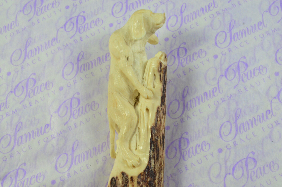 Fantastic Hand Carved Beadle Stag Antler Horn Handle Magnifying Glass Silver Ferrule 1901 Made Sheffield England - Image 7