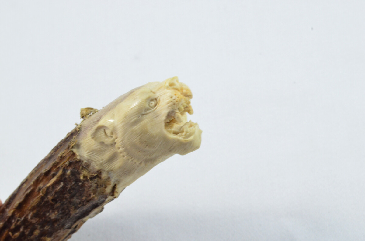 Lion Carved Walking Stick Cane Top Handle Stag Antler Horn Made Sheffield England