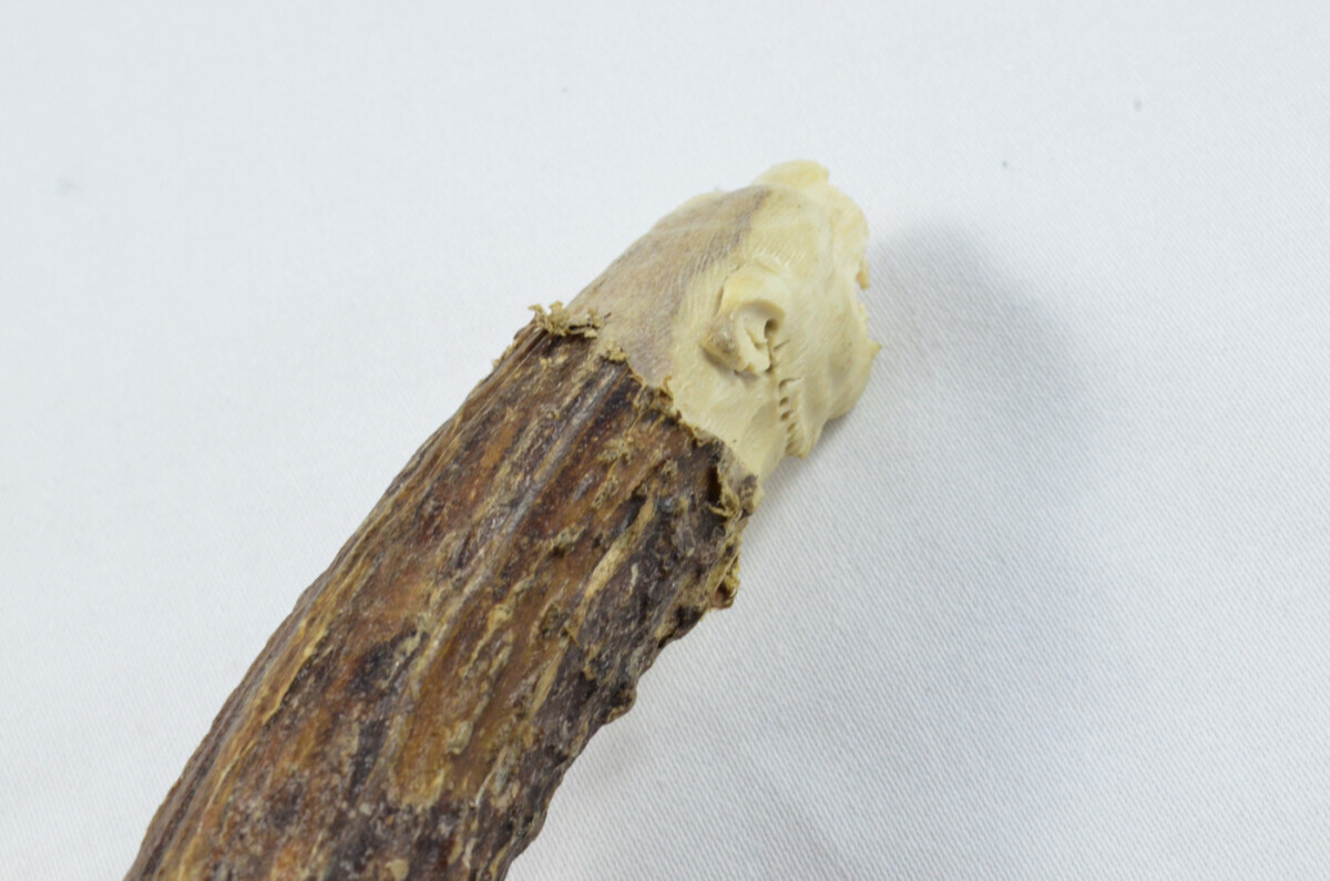 Lion Carved Walking Stick Cane Top Handle Stag Antler Horn Made Sheffield England - Image 3