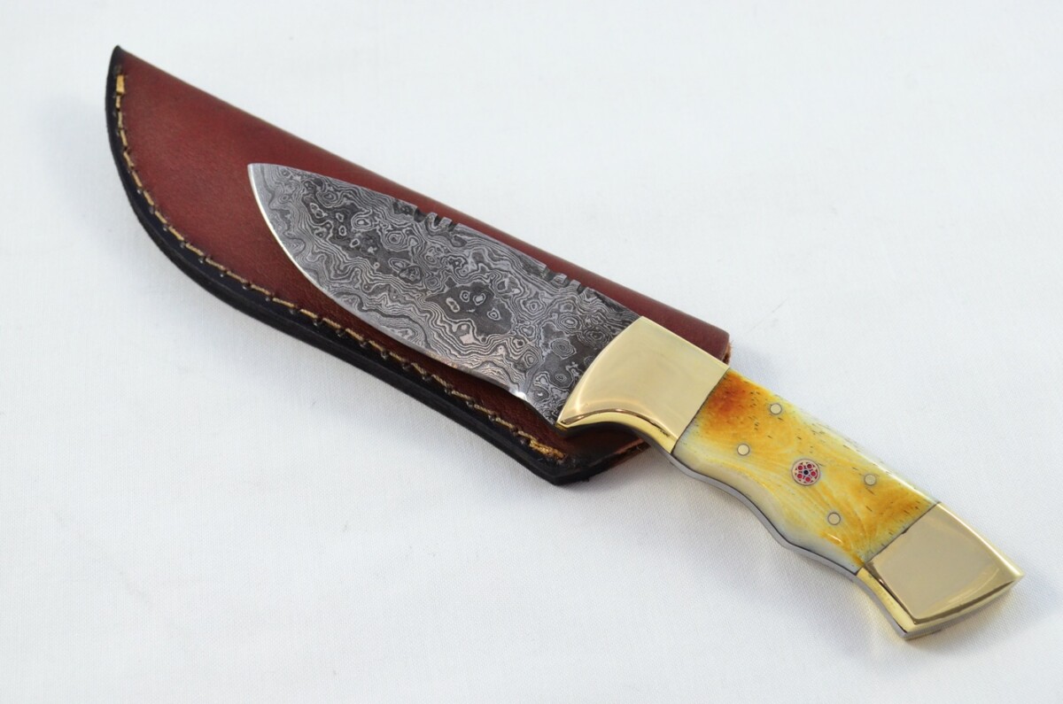 Double Bolster Damascus Steel Hunting Bowie Knife Camel Bone Scales Pristine Piece inc Leather Sheath