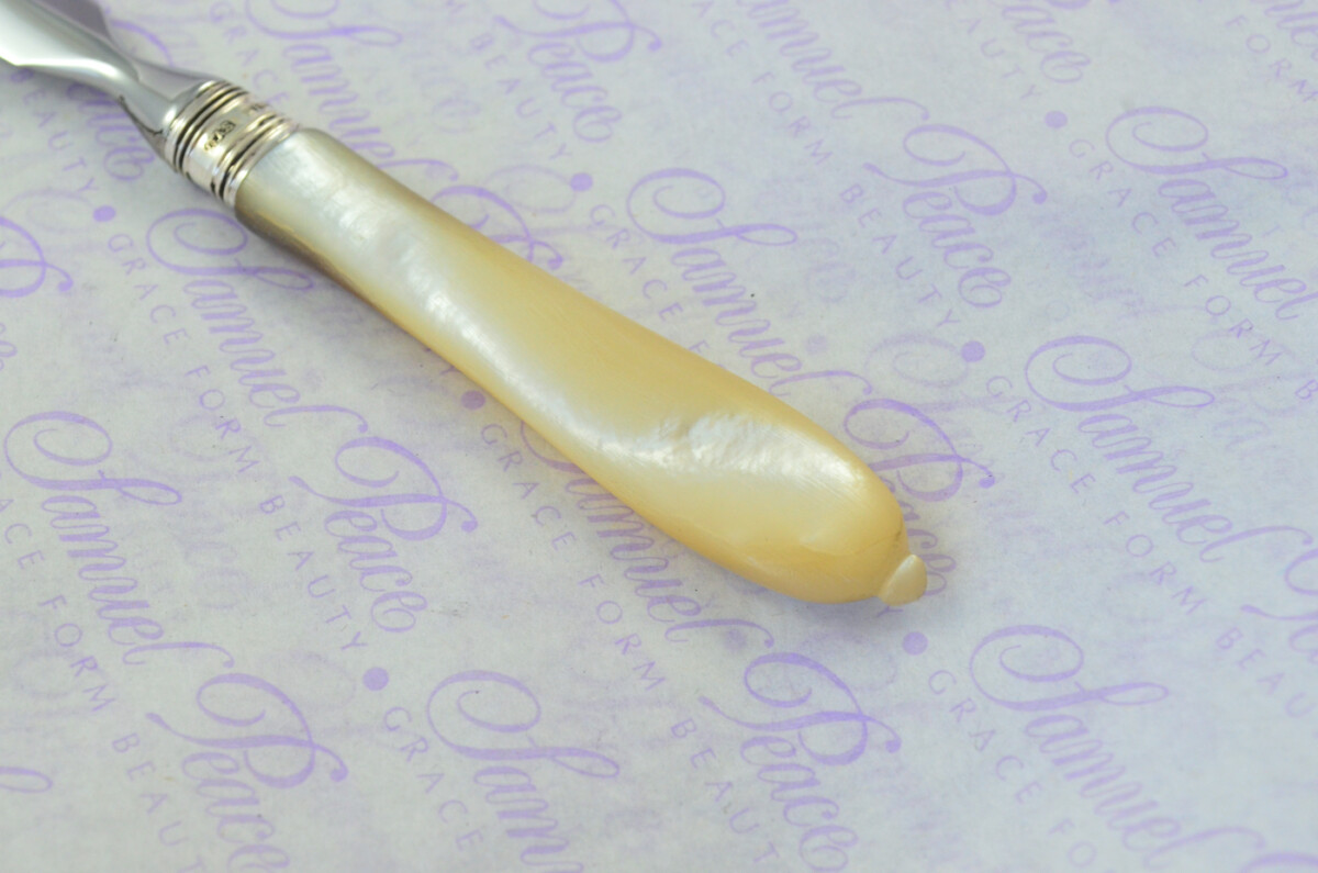 J. A. Scholes Carved Mother of Pearl Handled Letter Opener Sheffield 1896 Cased - Image 3