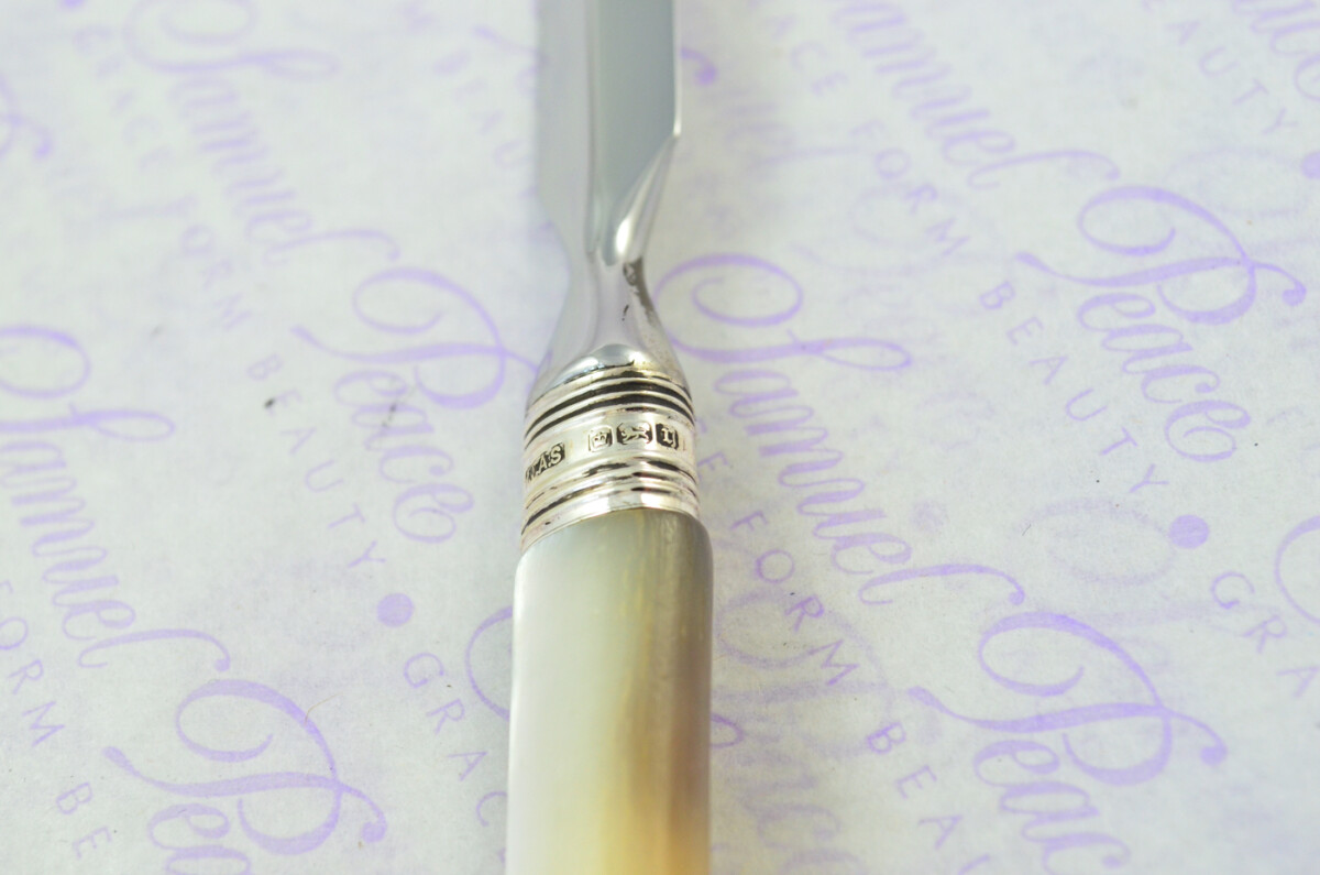 J. A. Scholes Carved Mother of Pearl Handled Letter Opener Sheffield 1896 Cased - Image 4