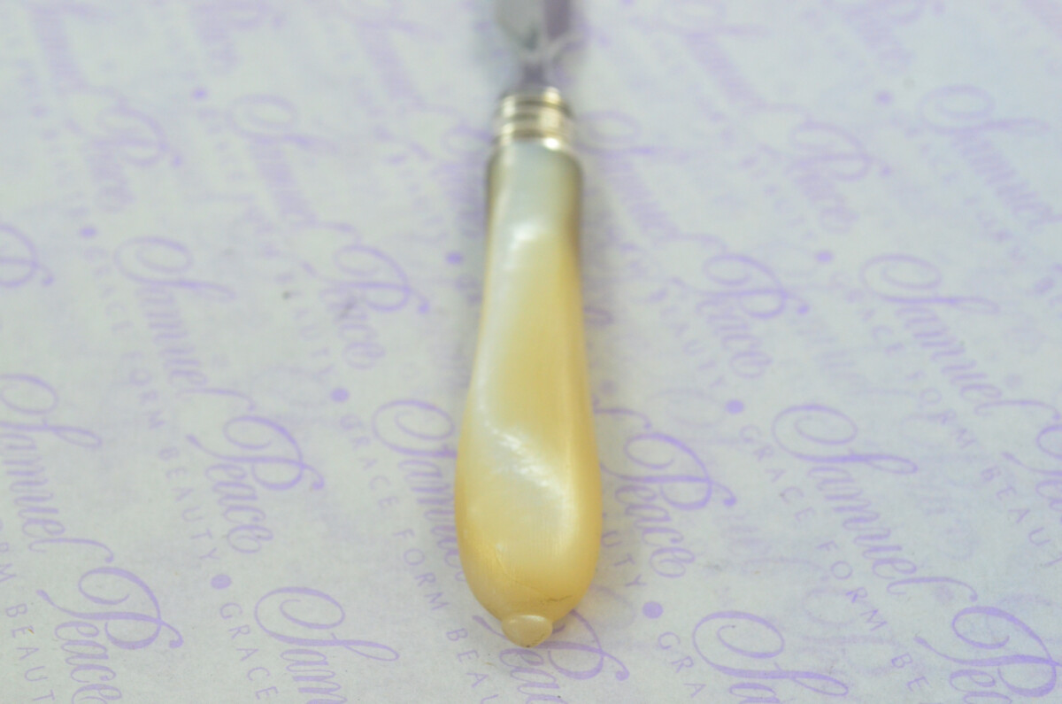 J. A. Scholes Carved Mother of Pearl Handled Letter Opener Sheffield 1896 Cased - Image 7