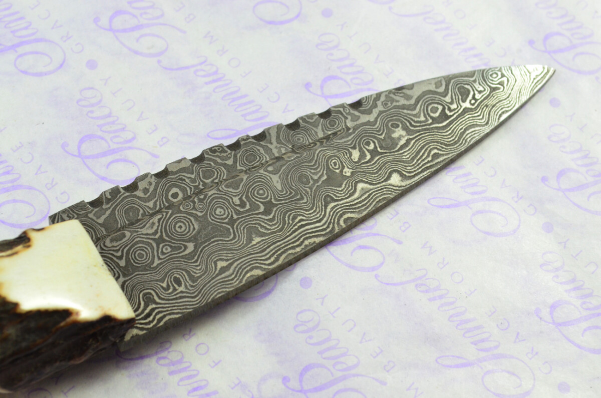Amazing Bespoke Hand Carved Bear Scene Stag Horn Antler Handle Sgian Dubh Damascus Blade Sheffield England - Image 7