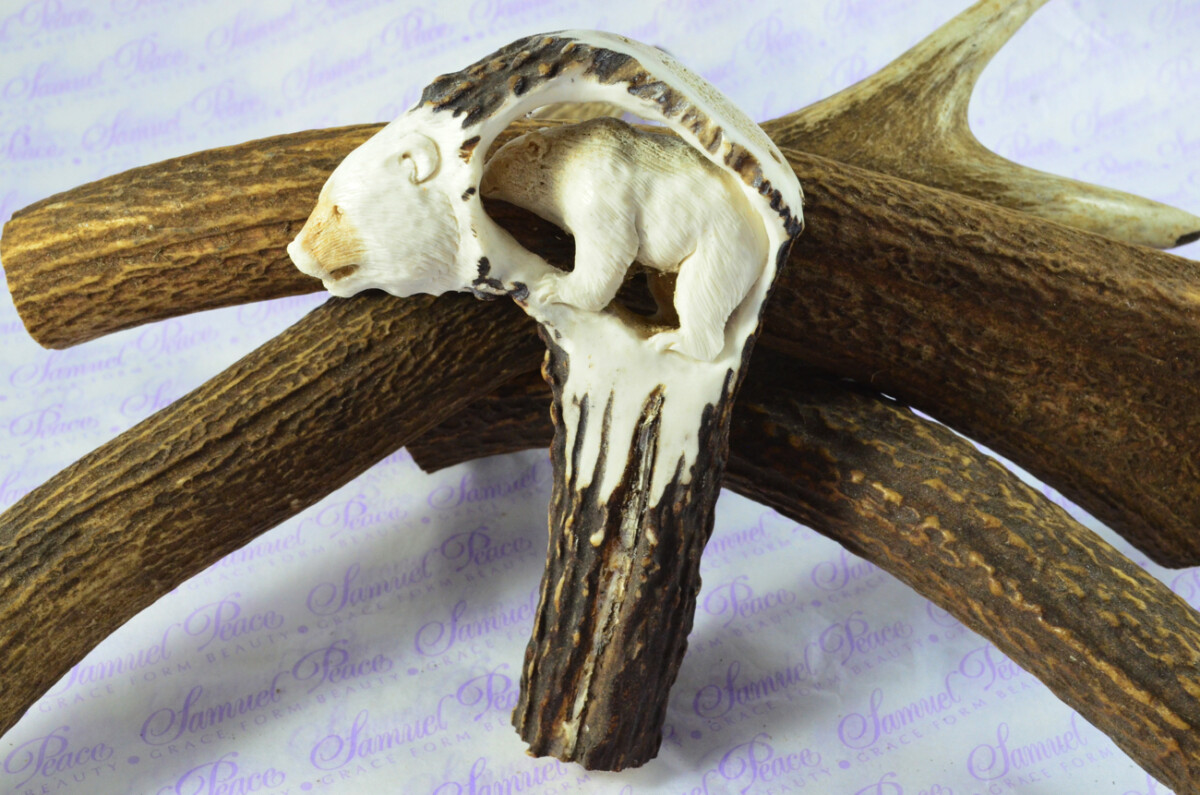 Fantastic Hand Carved Brown Bear Walking Stick Cane Top Handle Stag Antler Horn Made Sheffield England - Image 2