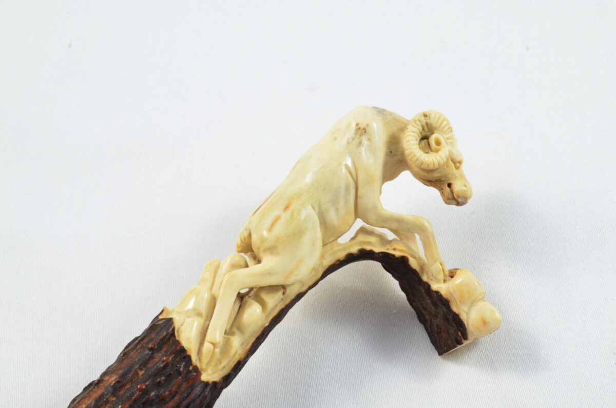 Ram Carved Walking Stick Cane Top Handle Stag Antler Horn Made Sheffield England - Image 2