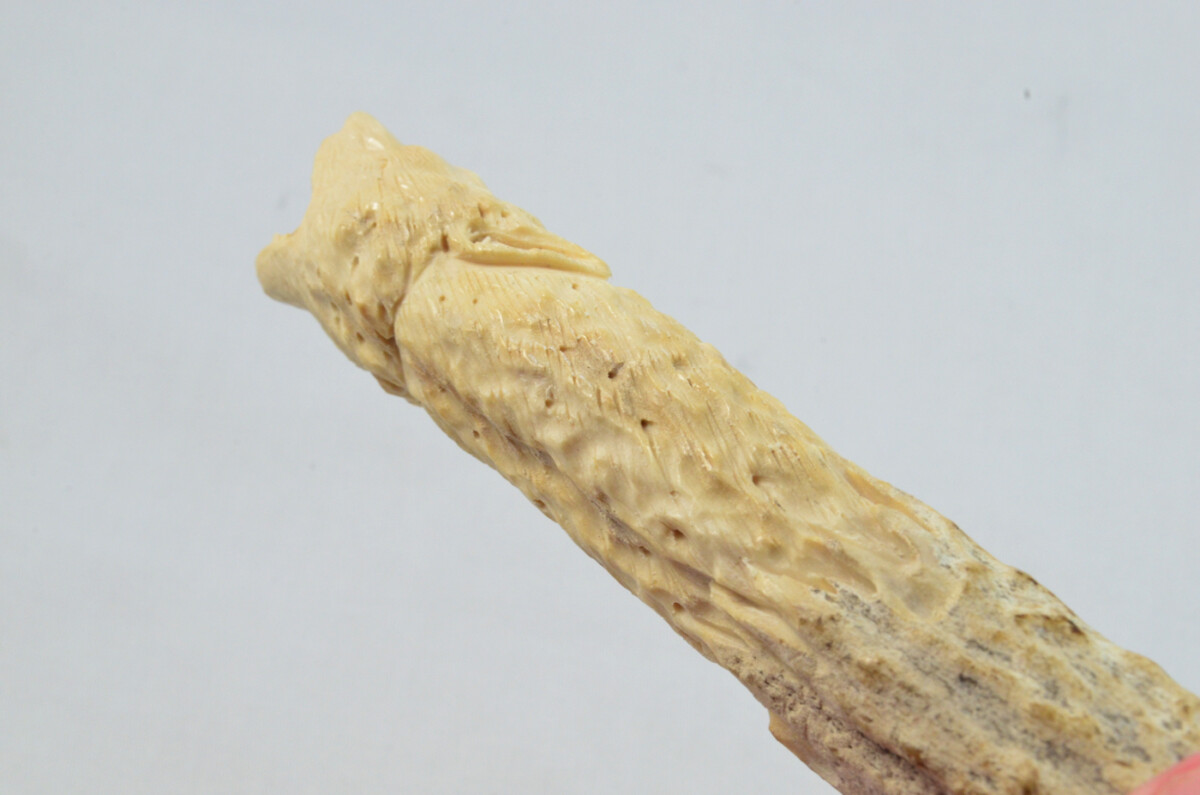 Bear Carved Walking Stick Cane Top Handle Stag Antler Horn Made Sheffield England - Image 4