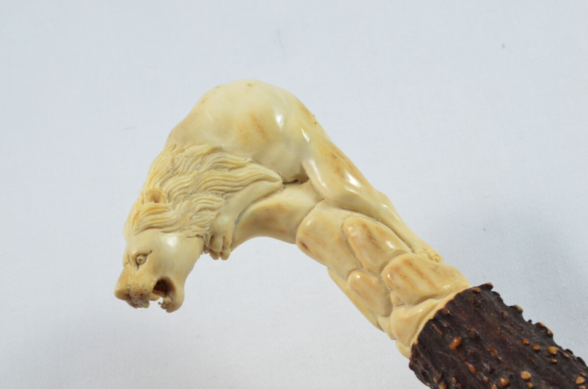 Lion Carved Walking Stick Cane Top Handle Stag Antler Horn Made Sheffield England - Image 3