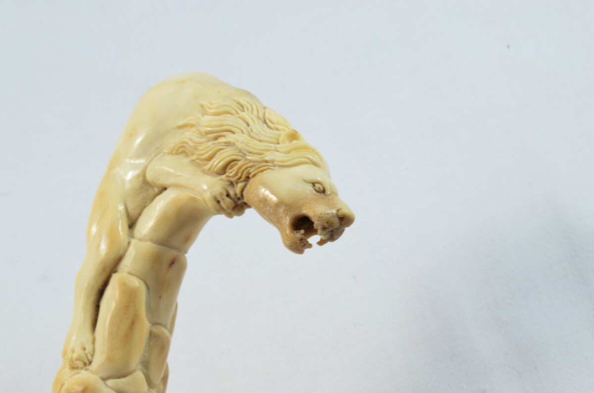 Lion Carved Walking Stick Cane Top Handle Stag Antler Horn Made Sheffield England - Image 4