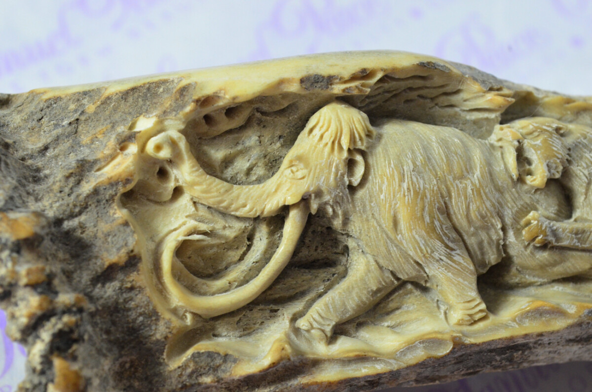 Breathtaking Wooly Mammoth & Saber Tooth Tiger Hand Carved Walking Stick Cane Top Handle Stag Antler Horn Made Sheffield England - Image 5