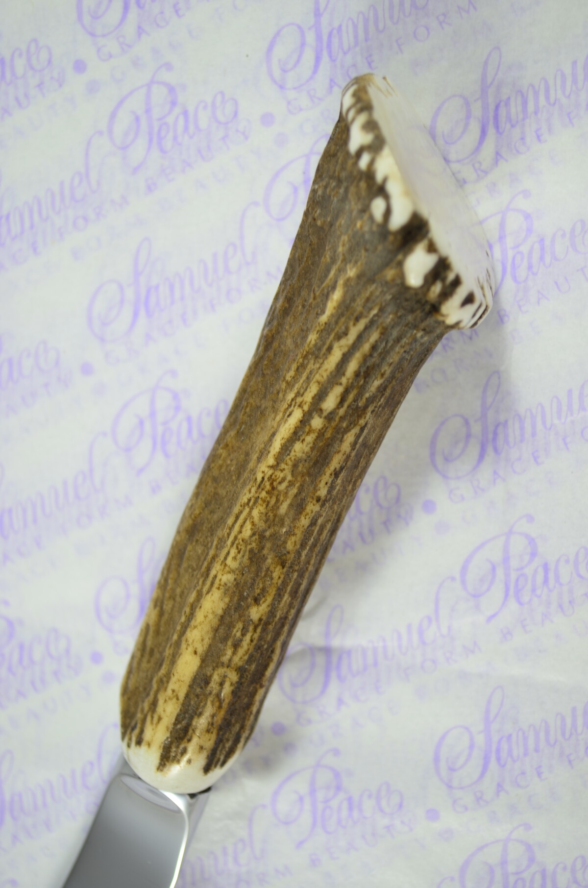 Six Full Crown Genuine Stag/Antler Handle Steak Knives Made Sheffield England Cased - Image 3
