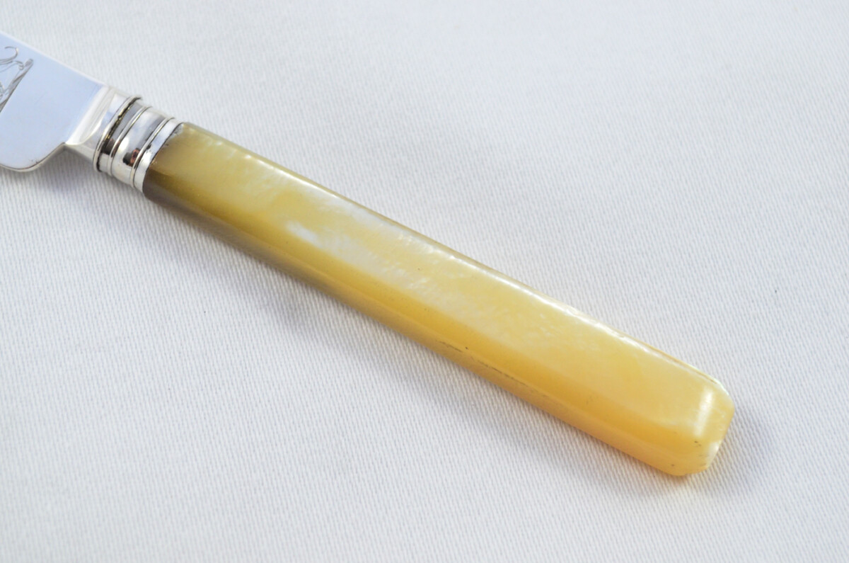 6 Moses Brent Mother of Pearl & Solid Silver Knives Hallmarked 1815 - Image 8