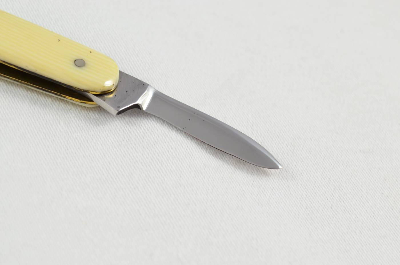 Sheffield, England Plastic Imitation Ivory Handled Pen Knife - Image 3