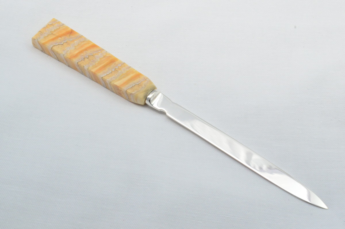 RARE Cased Sheffield Mammoth Tooth Handled Letter Opener 1827 - Image 7