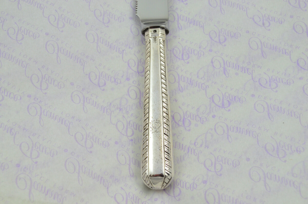 Rhapsody Pattern Sterling Silver Handled Wedding Cake Knife Gift Boxed 1901 - Image 7