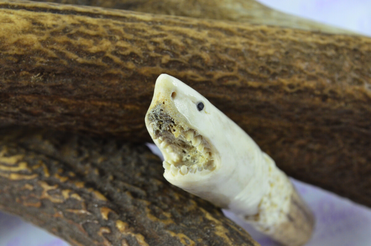 Shark Hand Carved Stag Antler Horn Knife Handle Hobbyist Make Your Own Knife! Made in Sheffield England - Image 4