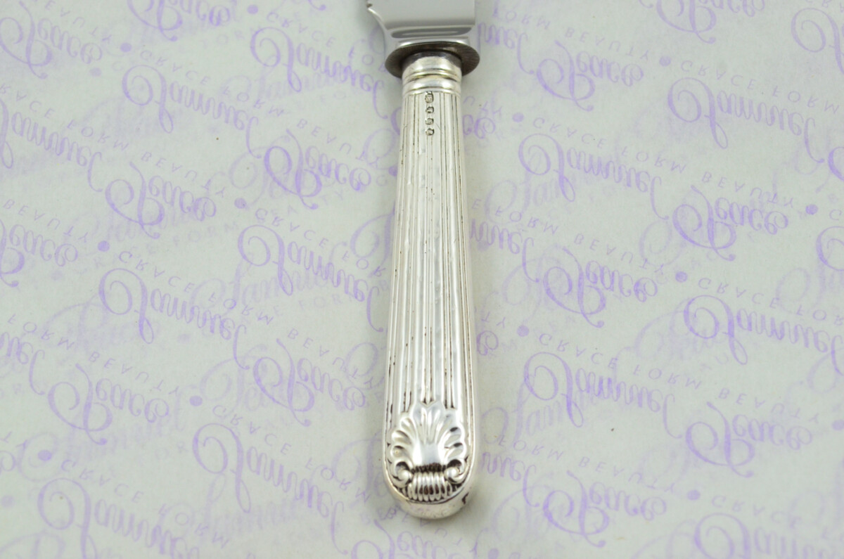 Panel Reed & Shell Pattern Sterling Silver Handled Wedding Cake Knife Gift Boxed 1842 - Image 7