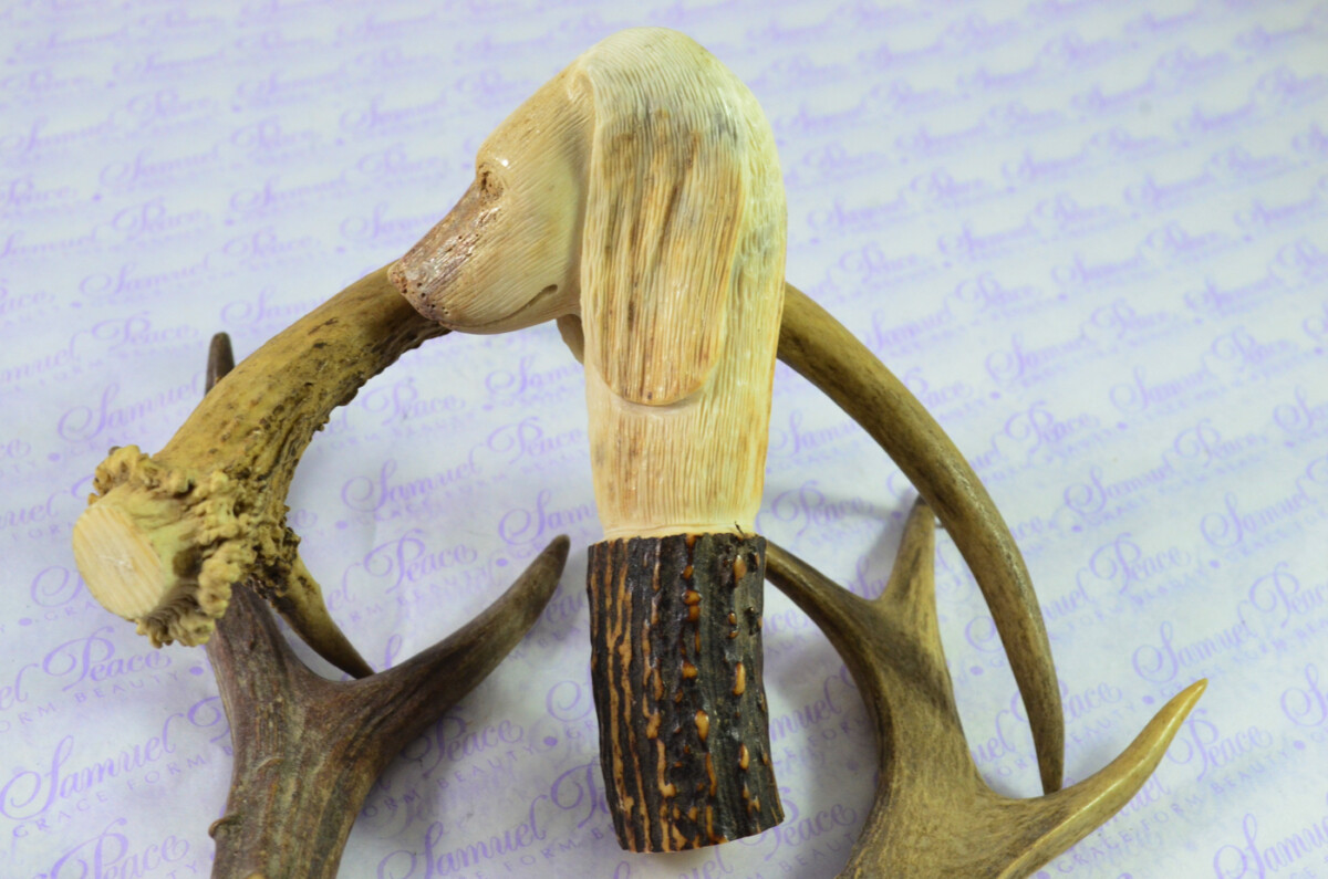 Dogs Head Hand Carved Walking Stick Cane Top Handle Stag Antler Horn Made Sheffield England - Image 5
