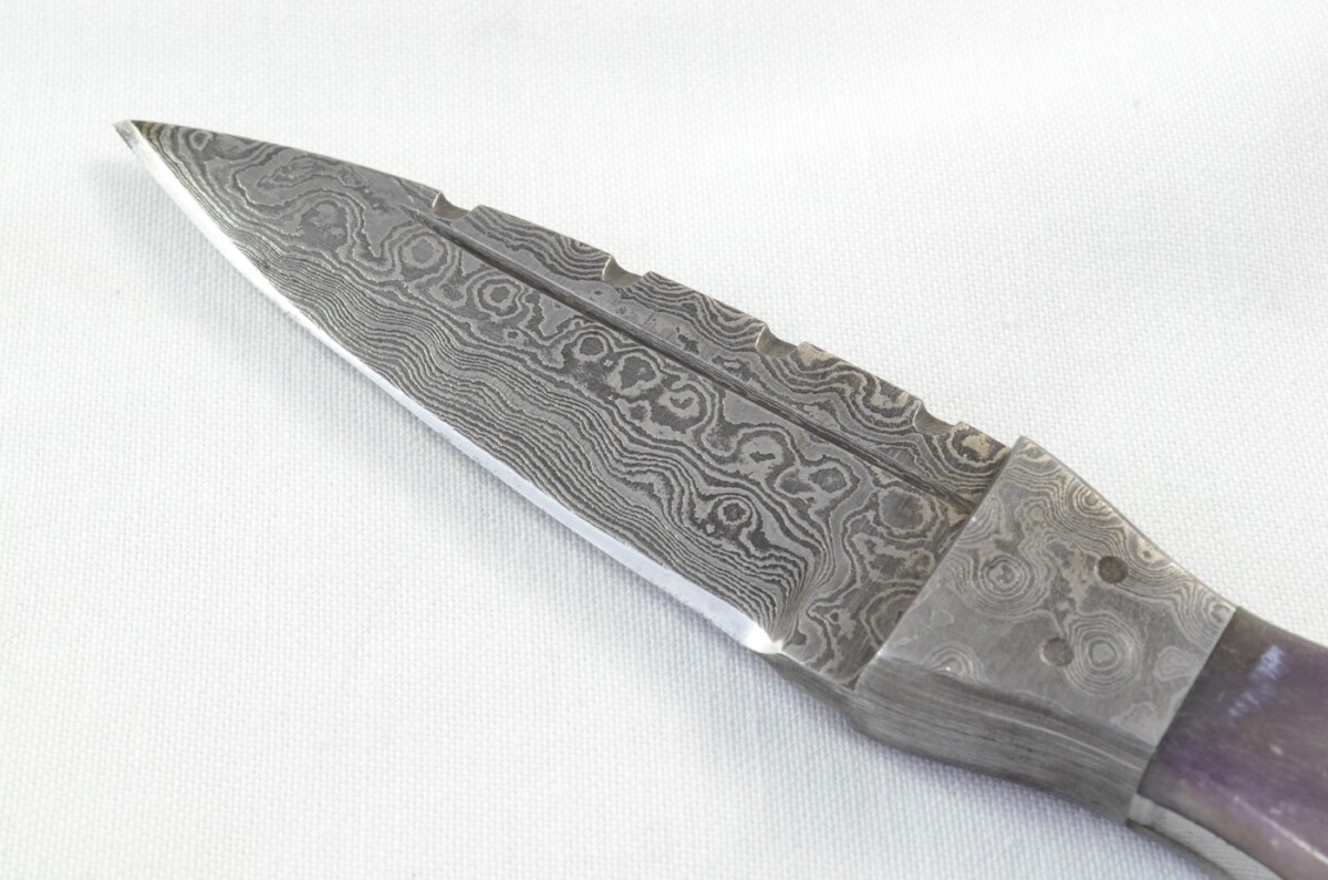 Unique New Genuine Damascus Steel Bespoke Full Tang Camel Bone Handle Sheffield Sgian Dubh with Leather Sheath Gift Boxed - Image 4