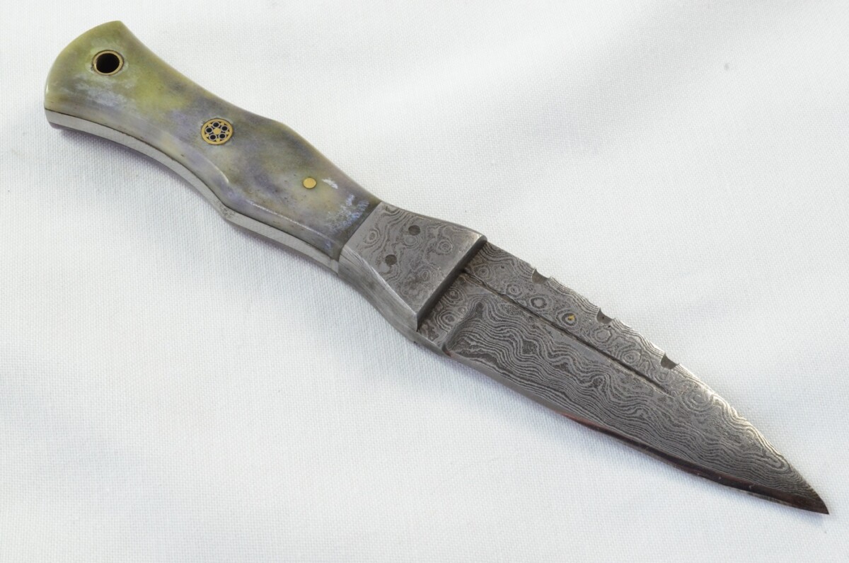 Unique New Genuine Damascus Steel Bespoke Full Tang Camel Bone Handle Sheffield Sgian Dubh with Leather Sheath Gift Boxed - Image 5