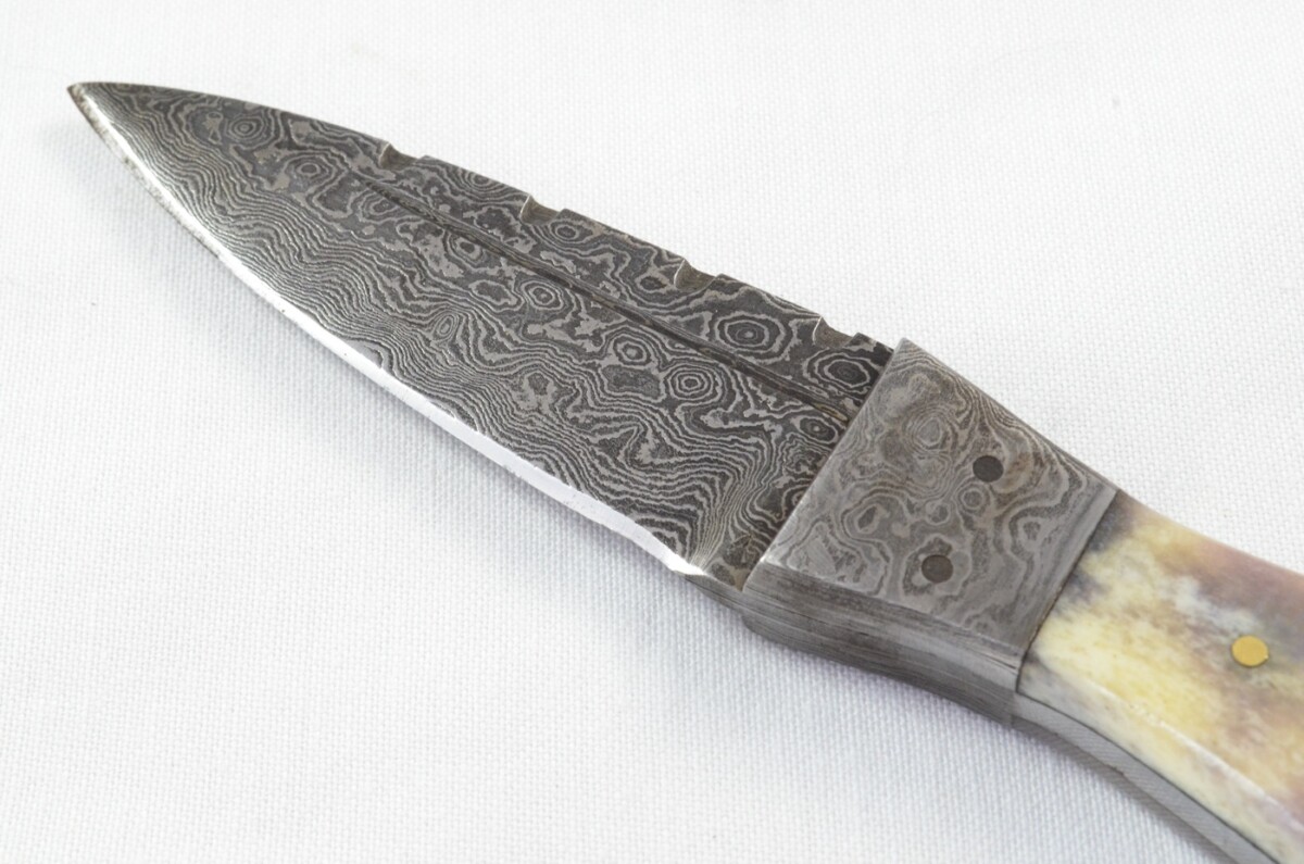 Unique New Genuine Damascus Steel Bespoke Full Tang Camel Bone Handle Sheffield Sgian Dubh with Leather Sheath Gift Boxed - Image 4