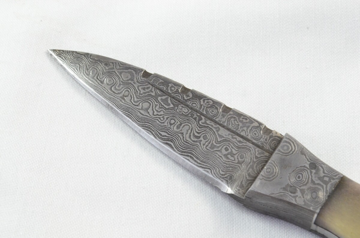 Unique New Genuine Damascus Steel Bespoke Full Tang Camel Bone Handle Sheffield Sgian Dubh with Leather Sheath Gift Boxed - Image 4