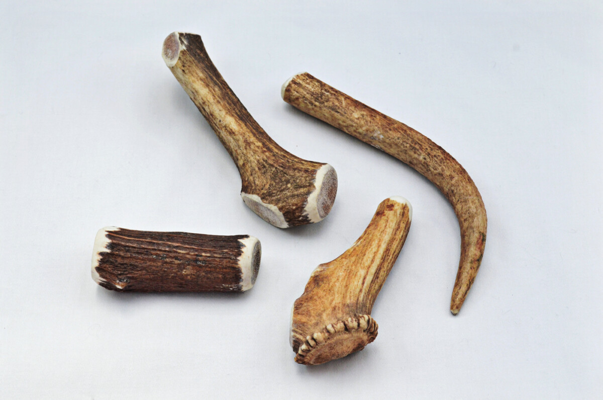 Premium Scottish Stag Horn Antler Dog Chew Naturally Shed Sustainable Dog Toy Deer Antler - LARGE - Image 5