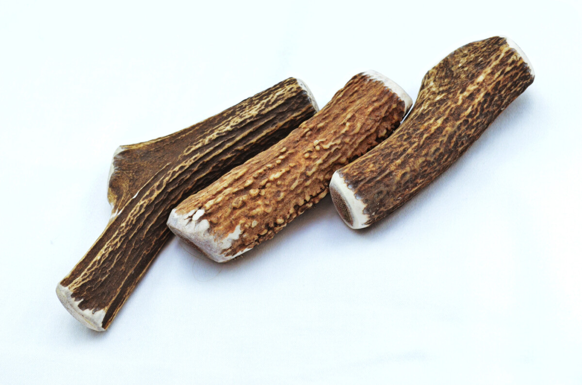 Premium Scottish Stag Horn Antler Dog Chew Naturally Shed Sustainable Dog Toy Deer Antler - LARGE - Image 9