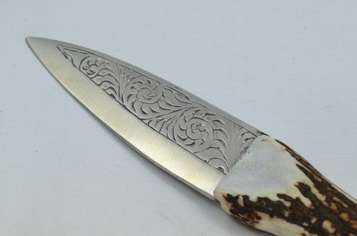 A Fantastic Genuine Hand Engraved Carbon Steel Stag Horn Antler Handle Sgian Dubh Sheffield England - Image 5