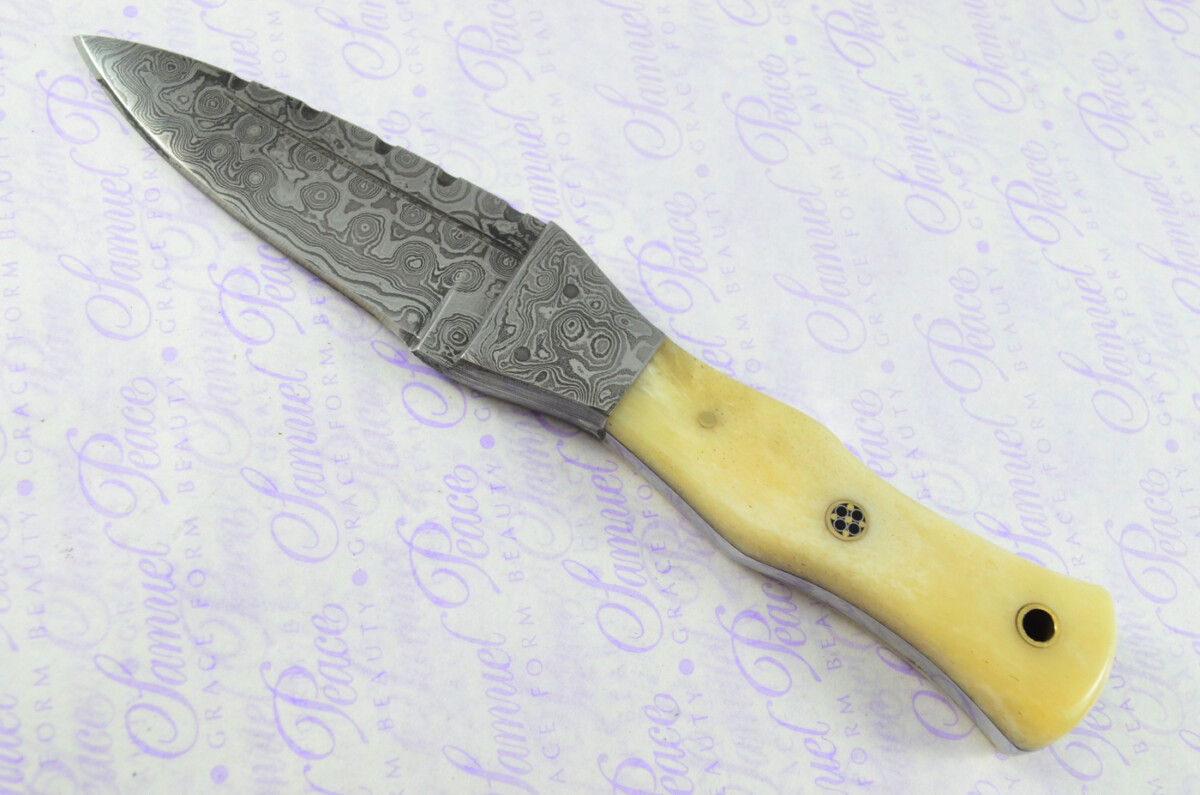 Unique New Genuine Damascus Steel Bespoke Full Tang Camel Bone Handle Sheffield Sgian Dubh with Leather Sheath Gift Boxed - Image 7