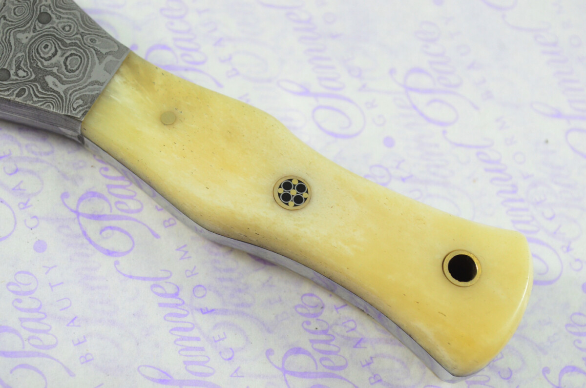 Unique New Genuine Damascus Steel Bespoke Full Tang Camel Bone Handle Sheffield Sgian Dubh with Leather Sheath Gift Boxed - Image 4
