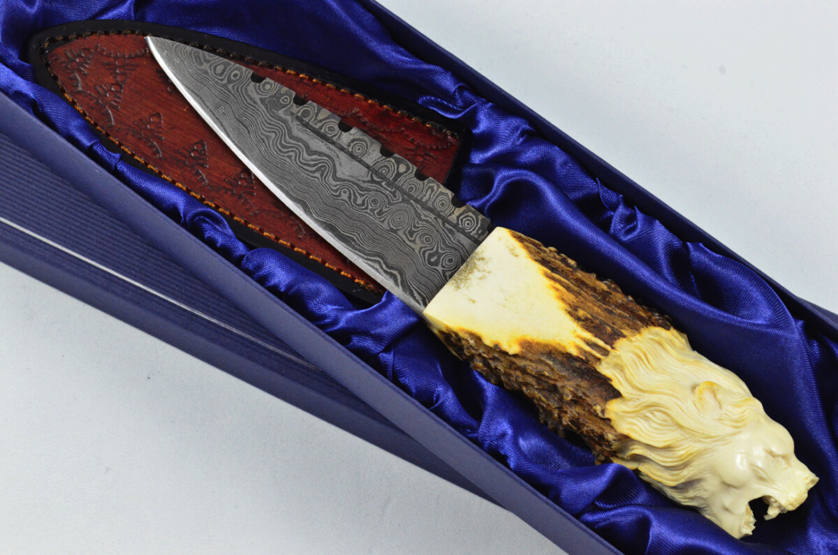 Amazing Bespoke Hand Carved Lion Stag Horn Antler Handle Sgian Dubh Damascus Blade Sheffield England - Image 2