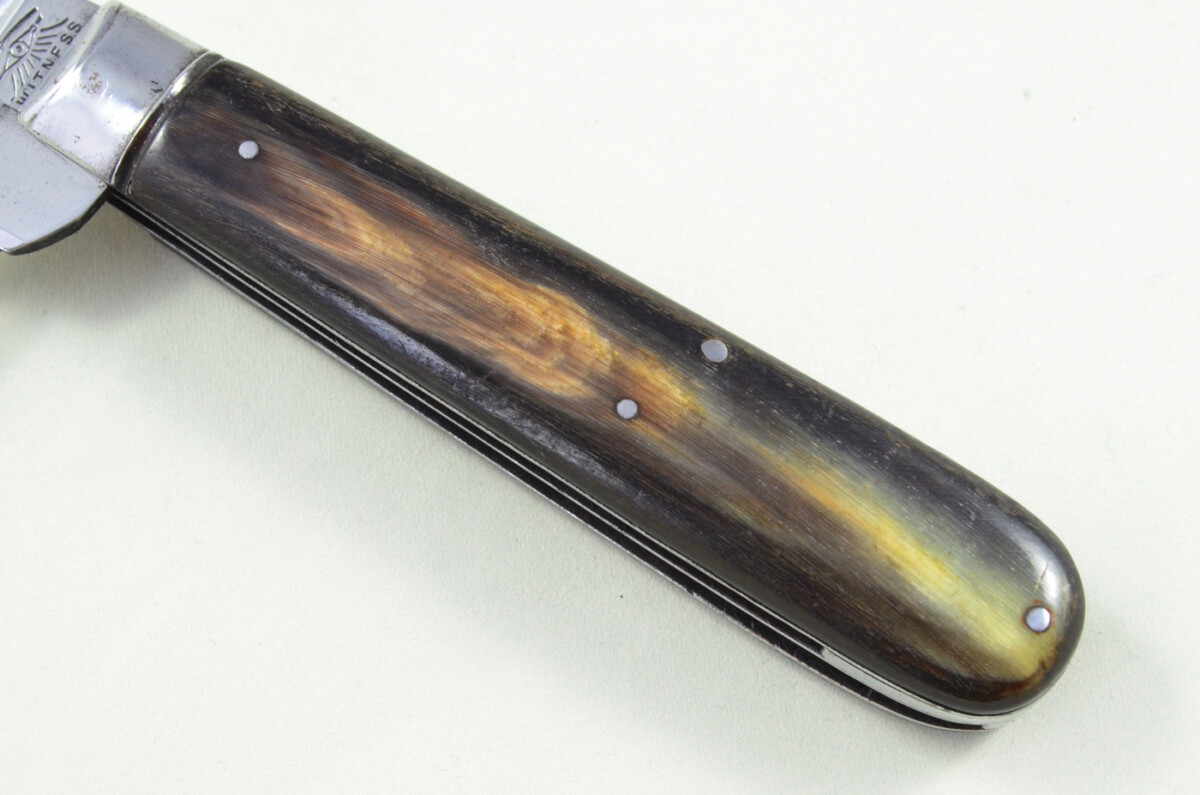 Taylors Eye Witness Sheffield Made 2 blade Pen Pocket Folding Knife Water Buffalo Scaled Pen Knife - Image 4