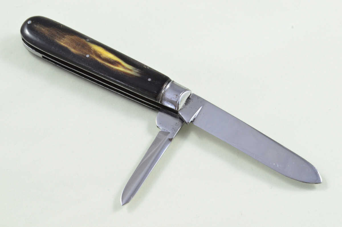 Taylors Eye Witness Sheffield Made 2 blade Pen Pocket Folding Knife Water Buffalo Scaled Pen Knife - Image 6