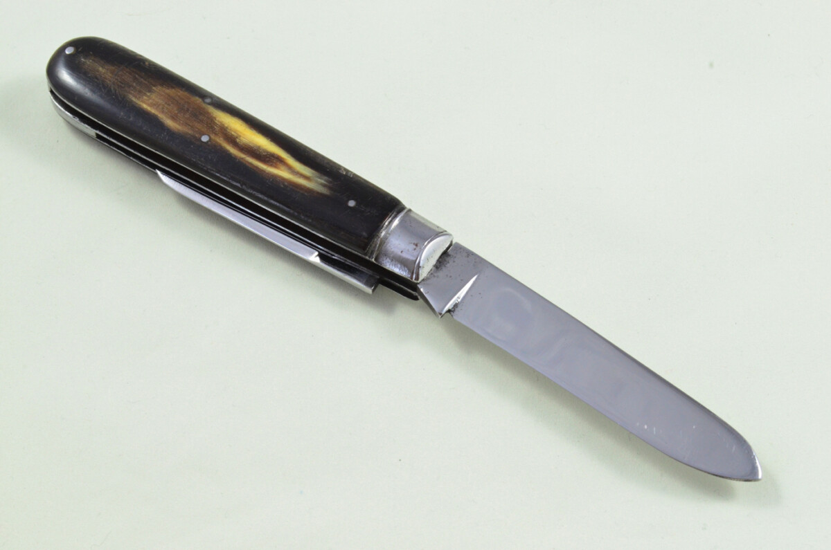 Taylors Eye Witness Sheffield Made 2 blade Pen Pocket Folding Knife Water Buffalo Scaled Pen Knife - Image 8