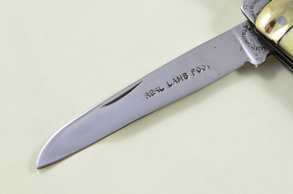 Sheffield Made 2 blade Pen Pocket Folding Knife Water Buffalo Scaled Pen Knife - Image 2