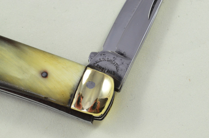 Sheffield Made 2 blade Pen Pocket Folding Knife Water Buffalo Scaled Pen Knife - Image 6