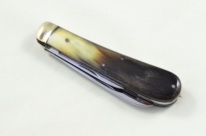Sheffield Made 2 blade Pen Pocket Folding Knife Water Buffalo Scaled Pen Knife - Image 10