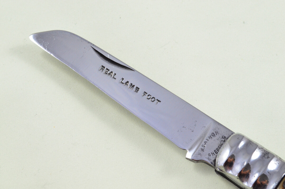 W Saynor Sheffield Made Lambs Foot Knife Stag Antler Horn Scaled Pen Knife - Image 2