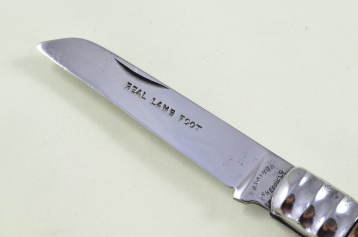 W Saynor Sheffield Made Lambs Foot Knife Stag Antler Horn Scaled Pen Knife - Image 2