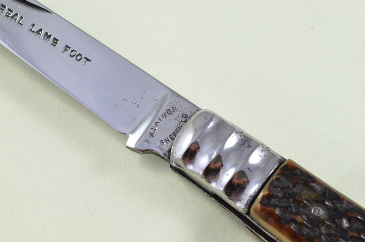 W Saynor Sheffield Made Lambs Foot Knife Stag Antler Horn Scaled Pen Knife - Image 3