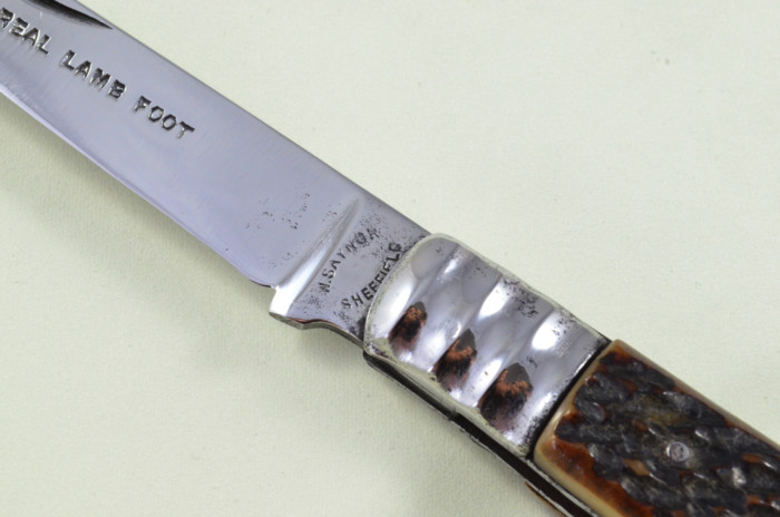 W Saynor Sheffield Made Lambs Foot Knife Stag Antler Horn Scaled Pen Knife - Image 3