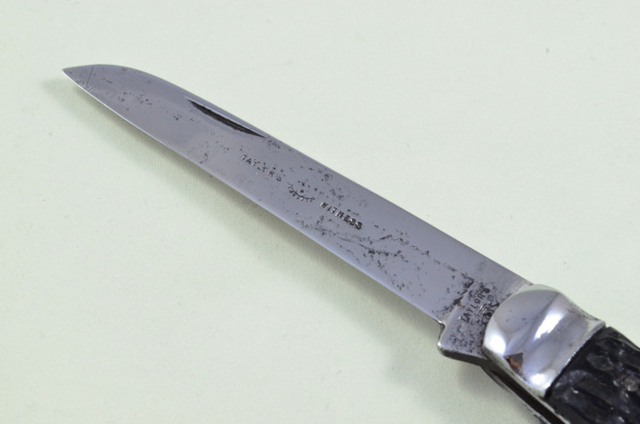 Taylors Eye Witness Sheffield Made Bex Scaled Lambs Foot Pen Pocket Knife - Image 2