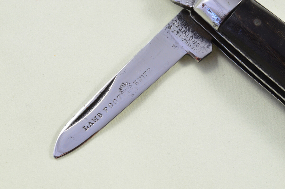 Wheatley Bros Sheffield Made 2 blade Pen Pocket Folding Knife Water Buffalo Scaled Pen Knife - Image 3