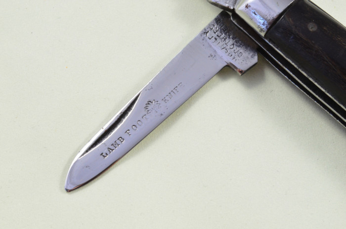 Wheatley Bros Sheffield Made 2 blade Pen Pocket Folding Knife Water Buffalo Scaled Pen Knife - Image 3