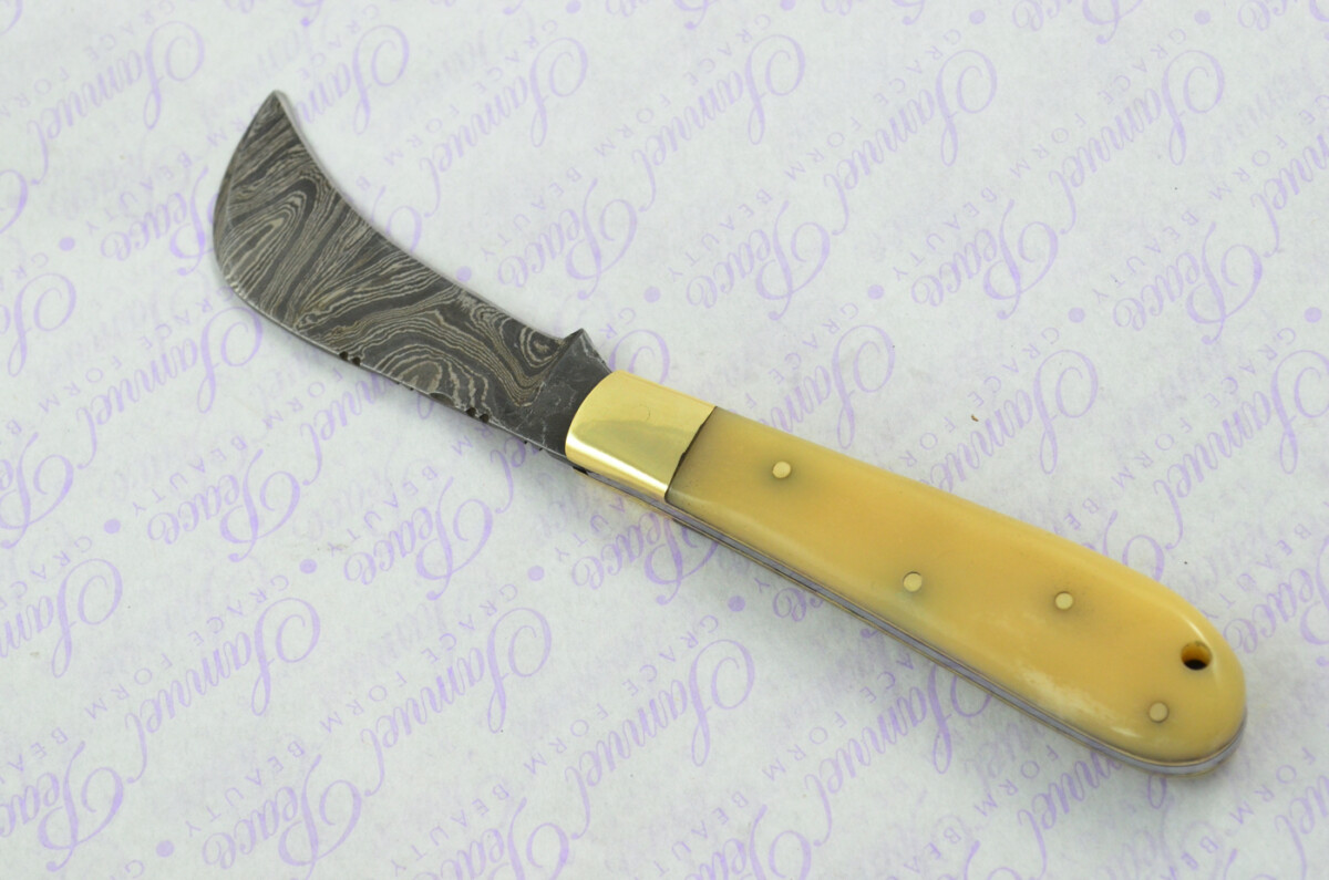 A Handmade Damascus Steel Pruning Pen/Pocket Knife - Camel Bone Scales