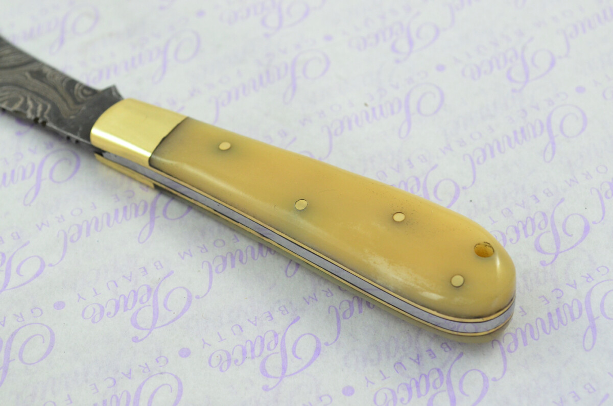 A Handmade Damascus Steel Pruning Pen/Pocket Knife - Camel Bone Scales - Image 2