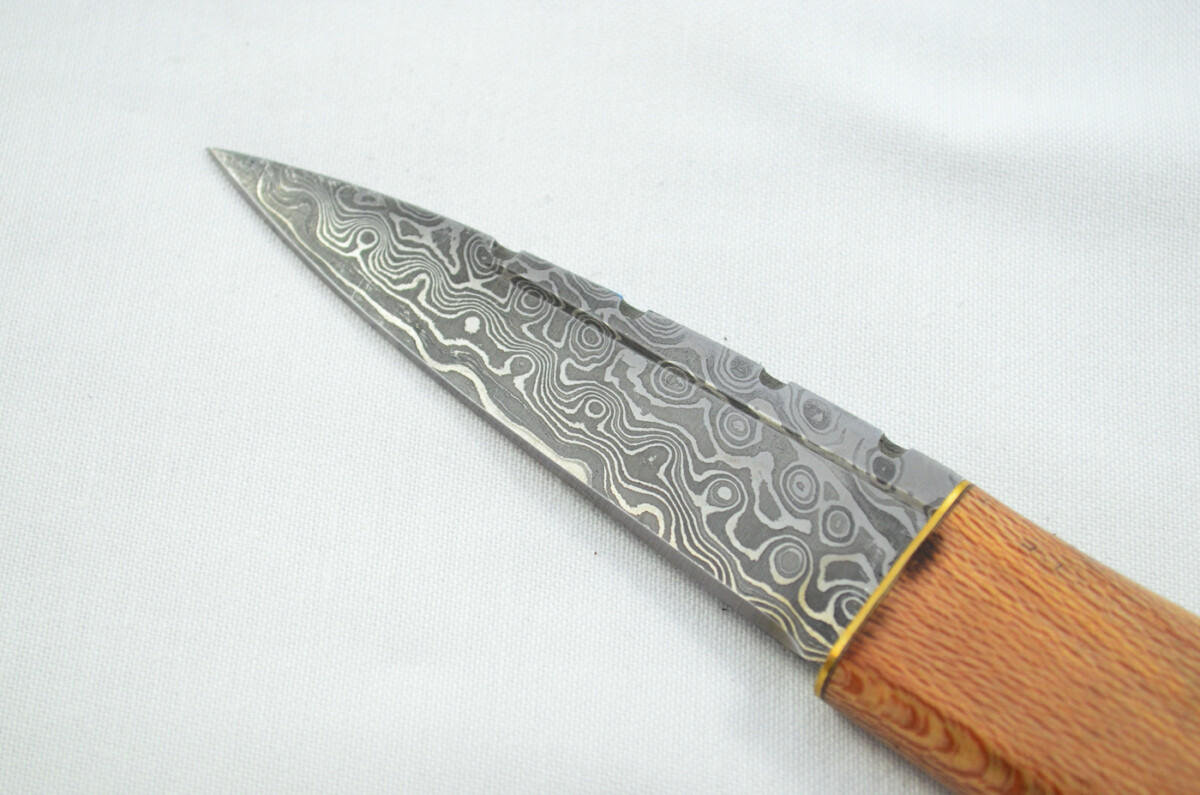 New Fantastic Coloured Laminate Sgian Dubh Damascus Steel Made in Sheffield England Superior Sheath inc Presentation Box - Image 3